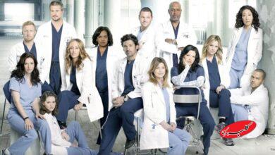 آناتومی گری