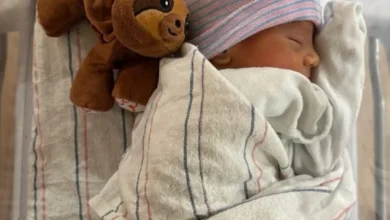 چهارمین فرزند آنا کورنیکووا و انریکه ایگلسیاس