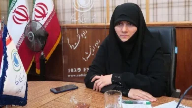 مهری طالبی دارستانی