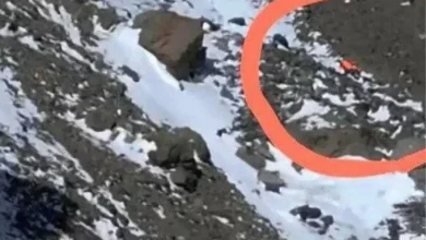 طاهره حاصلی