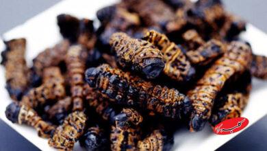 عجیب ترین رسوم کریسمس در سرتاسر جهان