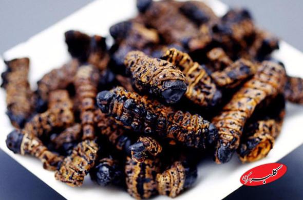 عجیب ترین رسوم کریسمس در سرتاسر جهان