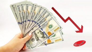 قیمت دلار، یورو و سایر ارزها امروز ۱۱ دی/ کف قیمتی دلار باز هم شکسته شد