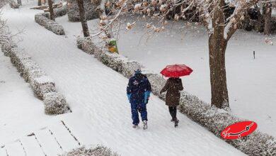 پیش بینی وضعیت هوا؛هشدار نارنجی برای این استان ها