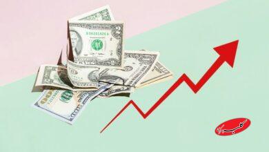 قیمت دلار، یورو و سایر ارزها امروز ۱۴ دی/ رشد عجیب قیمت دلار در یک ساعت!