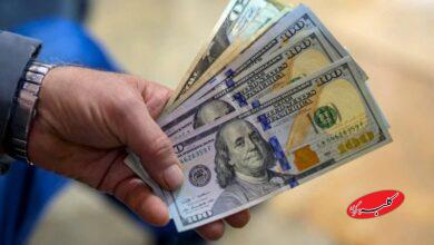 حذف ارز ترجیحی؛ آغاز یک جراحی بزرگ اما حساس در ساختار اقتصادی کشور