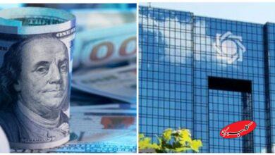 فوری؛معاون ارزی بانک مرکزی استعفا داد