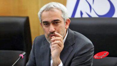 خبر مهم وزیر اقتصاد درباره دلار؛ عرضه سنگین ارز در راه است