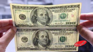 اثرات مثبت و منفی حذف ارز ترجیحی بر سفرههای مردم