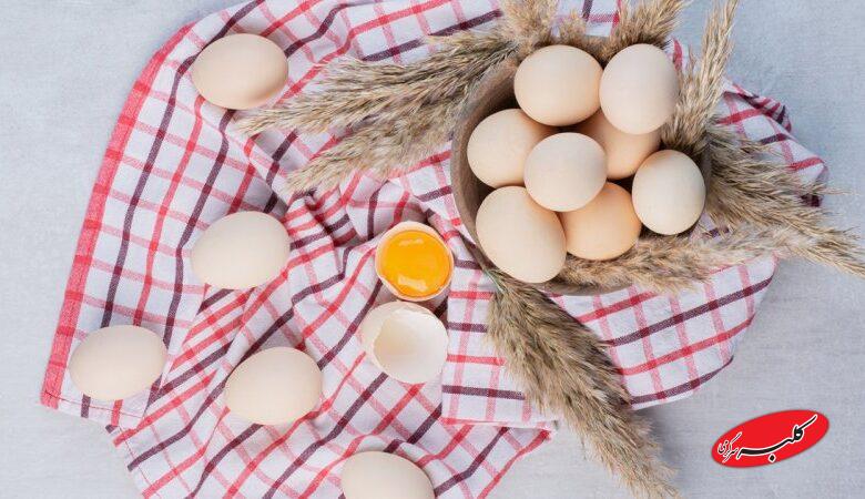 قیمت تخم مرغ دوباره کاهش یافت!