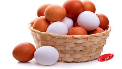 نوسان قیمتی بازار تخممرغ روزانه شد+ قیمت جدید