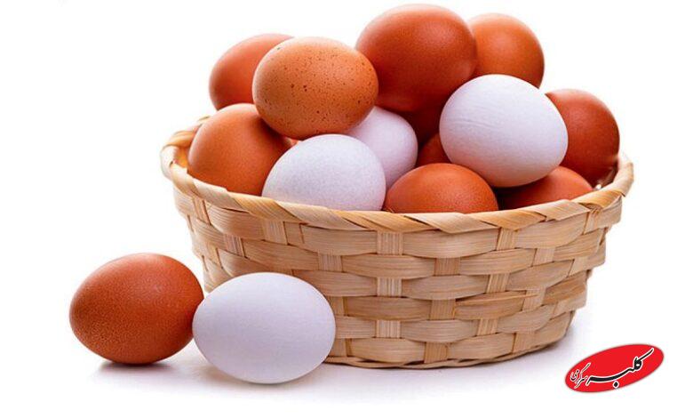 نوسان قیمتی بازار تخممرغ روزانه شد+ قیمت جدید