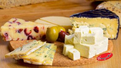 پنیر پرچرب و خامه میتوانند از مغز در برابر زوال عقل محافظت کنند