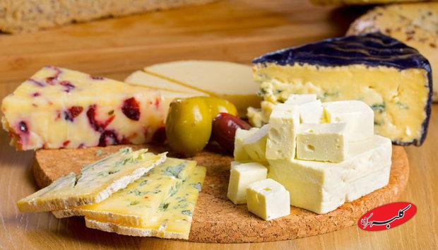 پنیر پرچرب و خامه میتوانند از مغز در برابر زوال عقل محافظت کنند