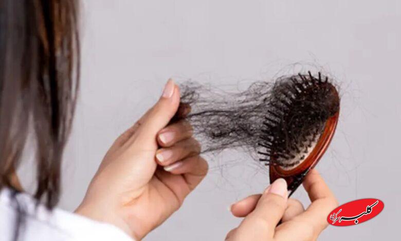 این خوراکیها باعث ریزش مو میشوند