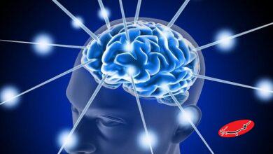 ارتباط ساعت داخلی بدن با خطر زوال عقل