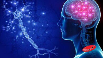 ۷ علامت هشداردهنده تومور مغزی که باد بدانید +اینفوگرافیک