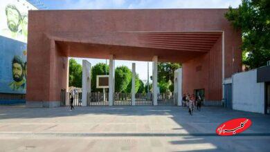 دانشگاه شریف