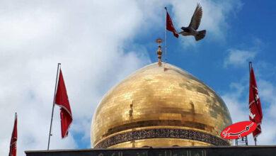 صبر آگاهانه حضرت زینب(س) عامل ماندگاری نهضت عاشورا و بیداری جامعه