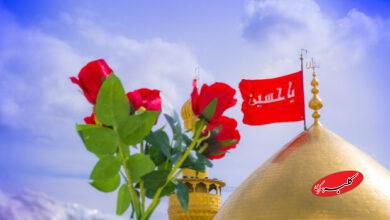 نهضت امام حسین(ع)بر پایه بینش و فهم عمومی شکل گرفت/از کربلا تا انقلاب