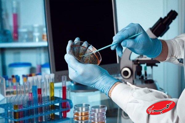 سازمان انتقال خون می تواند محور توسعه بانک سلولهای بنیادی باشد