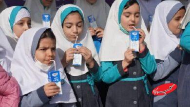 تعلل وزارت بهداشت در ارائه یک پیشنهاد تغذیهای به مجلس