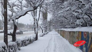 بارش برف - سرما - یخبندان