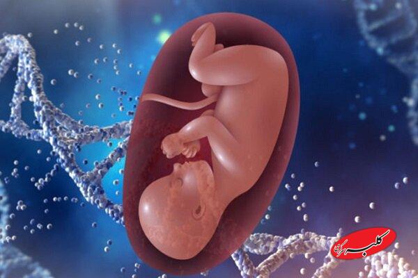 بارداری پوچ چیست و چرا اتفاق میافتد؟ از تشخیص تا اقدامات ضروری