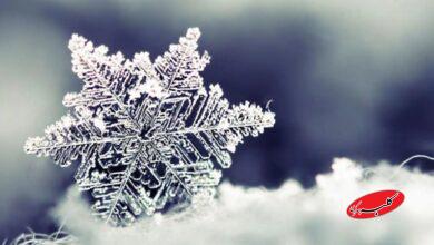 بارش برف - دانه برف