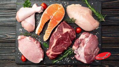 پودر پروتیین