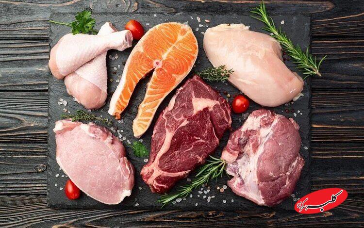 پودر پروتیین