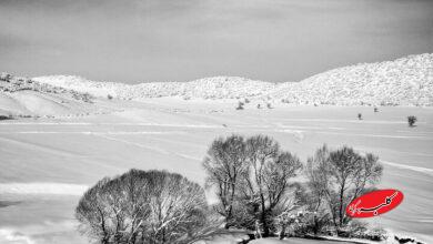 ایران برفی 1404