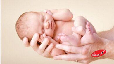 آیا زعفران میتواند باعث سقط جنین شود؟