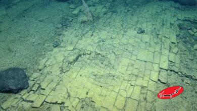 جاده ای کف اقیانوس