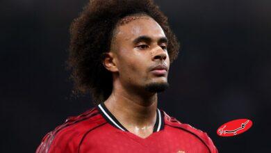 جاشوا زیرکزی