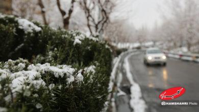 بارش برف زمستانی در تهران