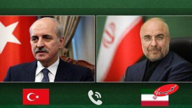 قالیباف نومان کورتولموش