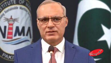 سید فیصل علی شاه