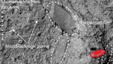 چکّش نیم میلیون ساله