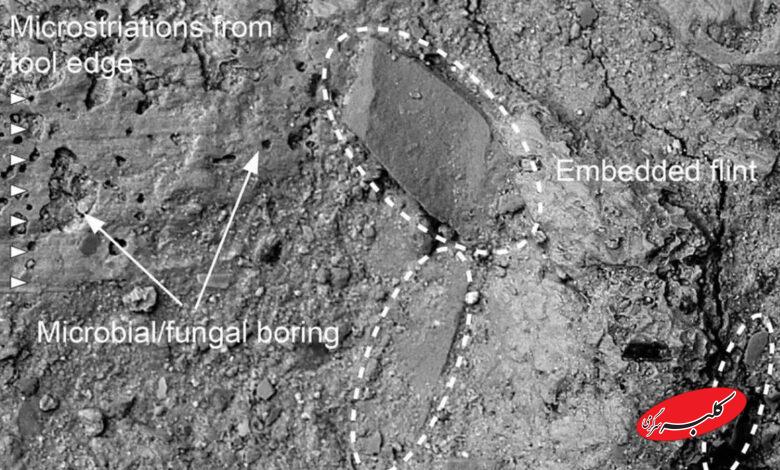 چکّش نیم میلیون ساله