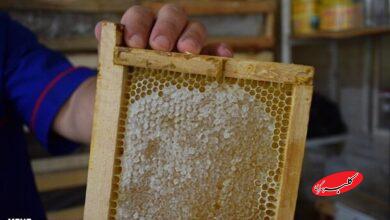 عسل طبیعی رنگ ثابتی ندارد