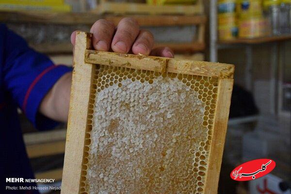 عسل طبیعی رنگ ثابتی ندارد