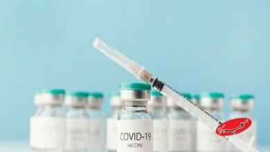 واکسن کووید در دوران بارداری خطر زایمان زودرس را کاهش میدهد