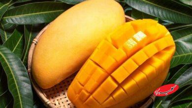 میوهای برای حفظ وزن و کنترل قند خون