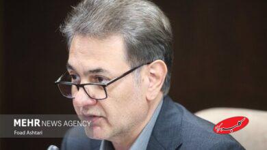 توضیحات ناصحی درباره بیمه دهک های درآمدی