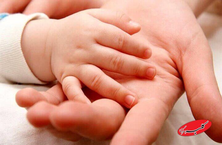 پرداخت ماهانه ۲ میلیون تومان به نوزادان؛ راهکاری برای کاهش دغدغه ها