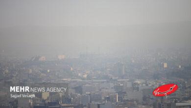 ارتباط آلودگی هوا با بیماریهای خودایمنی