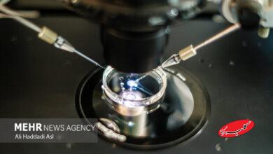 تأثیر مصرف دخانیات و الکل بر بارداری و موفقیت IVF