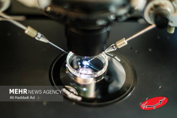 تأثیر مصرف دخانیات و الکل بر بارداری و موفقیت IVF