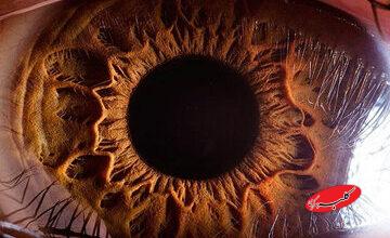 چرا در تاریکی نمیتوانیم رنگها را ببینیم؟